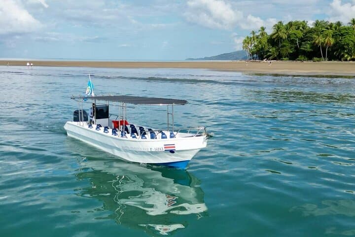 Cano Island Snorkeling: Day Trip from Marino Ballena to Pristine Reefs
