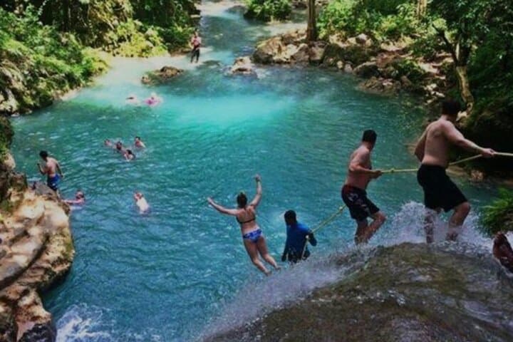 Dunns River Falls and Bob Marley Nine Mile: Private Half-Day Tour from Montego Bay photo 1