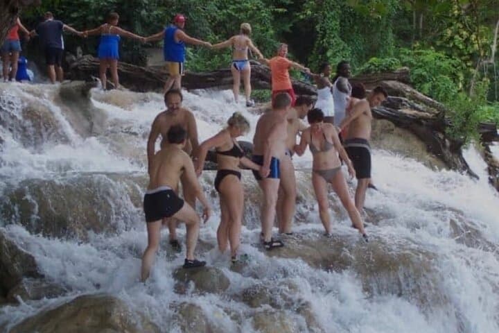 Dunns River Falls and Bob Marley Nine Mile: Private Half-Day Tour from Montego Bay photo 2