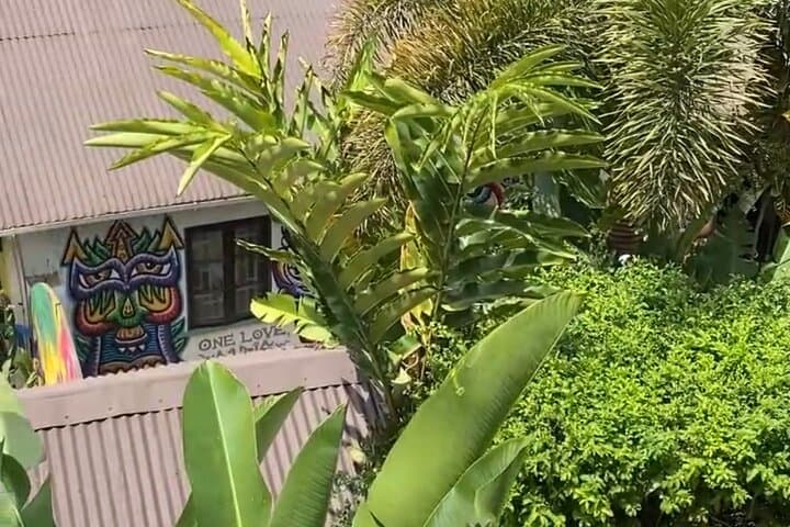 Dunns River Falls and Bob Marley Nine Mile: Private Half-Day Tour from Montego Bay photo 4