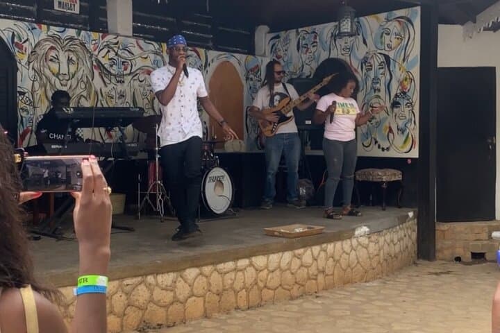 Blue Hole Falls and Bob Marley Nine Mile Day Tour from Montego Bay