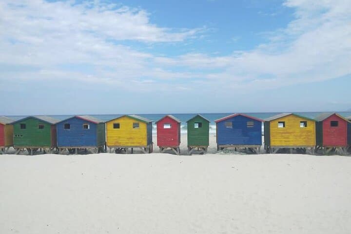 5-Day Cape Town Adventure: Table Mountain, Cape Peninsula & Shark Cage Diving photo 5