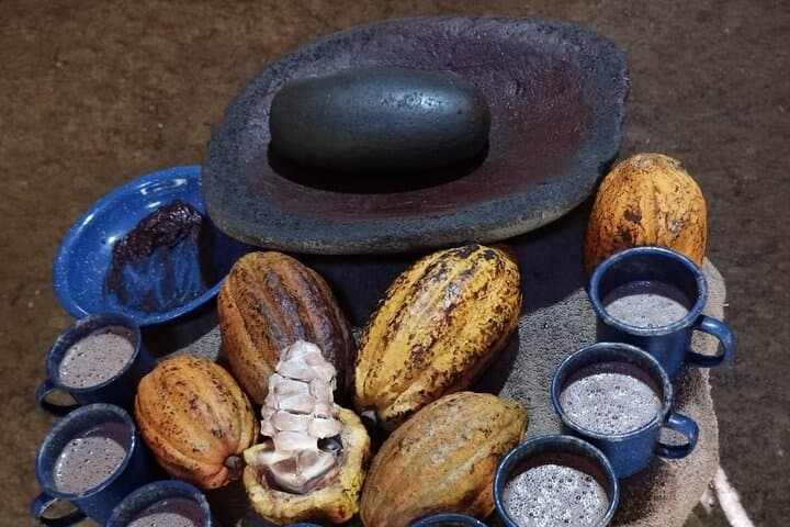 Uvita Chocolate Tour: Bean-to-Bar Cocoa Experience on Costa Rica’s Southern Pacific