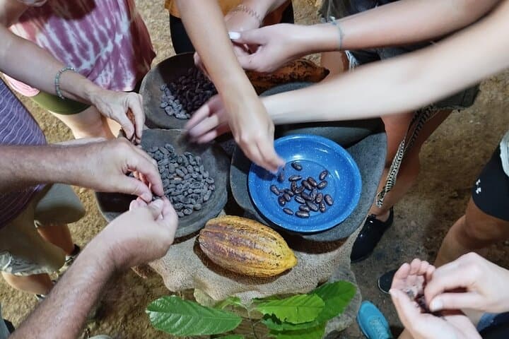 Uvita Chocolate Tour: Bean-to-Bar Cocoa Experience on Costa Rica’s Southern Pacific photo 2