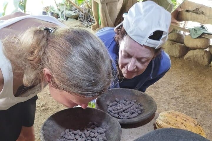 Uvita Chocolate Tour: Bean-to-Bar Cocoa Experience on Costa Rica’s Southern Pacific photo 3