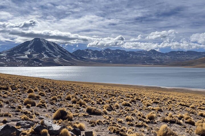 Altiplanic Lagoons & Piedras Rojas: Day Tour from San Pedro de Atacama photo 2