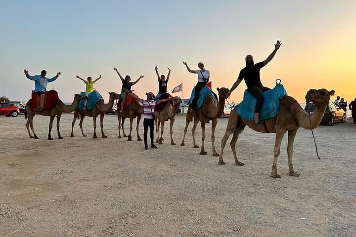 Sunset Camel Ride at Cap Spartel & Caves of Hercules with Traditional Dinner in Tangier