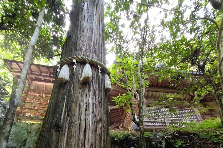 Hiroshima Scenic E‑Bike Tour: Peace Park, Castle Moat & Hidden Temples photo 4