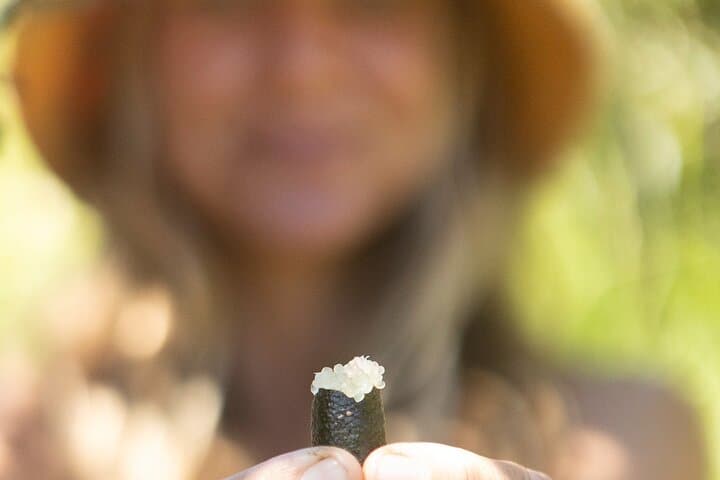 Taste of Hawaii: La Kahea Community Farm Tour on Maui photo 5