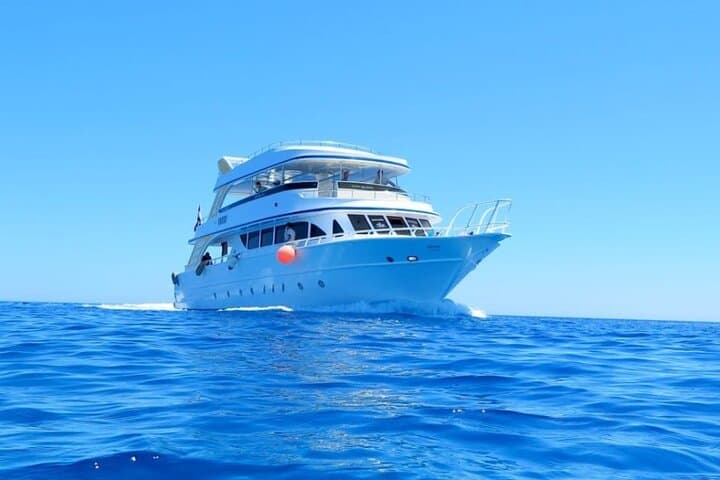 Hula Hula Island Sea Trip: Snorkel, Dolphins & Lunch from Hurghada photo 3