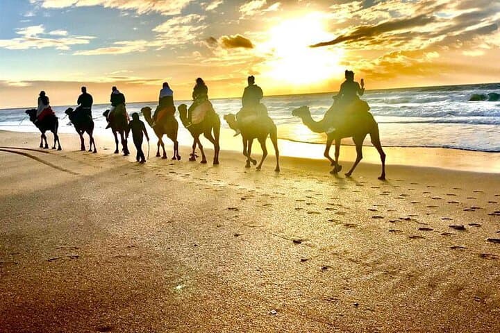 Sunset Camel Ride at Cap Spartel & Caves of Hercules with Traditional Dinner in Tangier photo 2