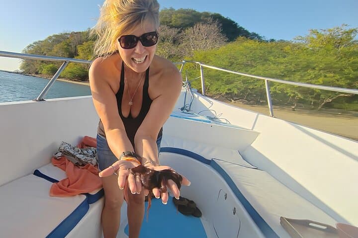 Sunset Snorkel Cruise from Playa Flamingo — Octopus, Turtles & Whales photo 5