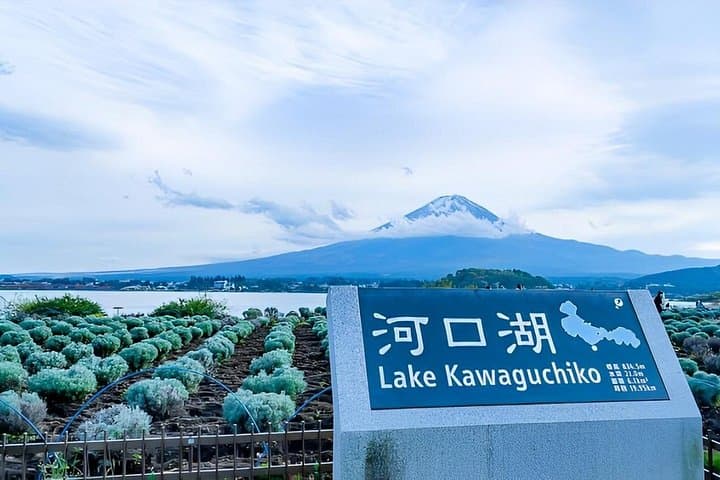 Mount Fuji Day Tour: Private Car to Chureito Pagoda, Kawaguchiko & 5th Station photo 4