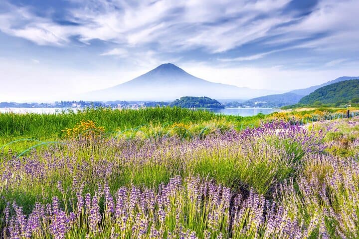 10-Day Japan Private Tour: Tokyo to Hiroshima — Essential Highlights & Tips photo 2