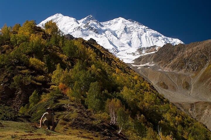 3-Day Rakaposhi Base Camp Trek: Tagha Phari & Glacier Viewpoints in the Karakoram photo 2