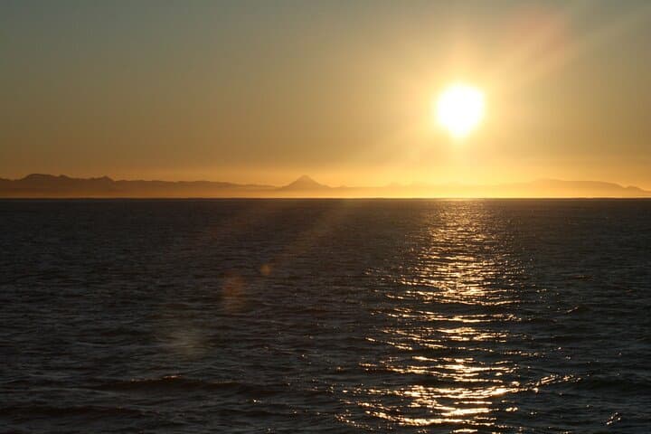 9pm Arctic Sun Whale Watching Cruise in Reykjavik's Faxafloi Bay photo 4