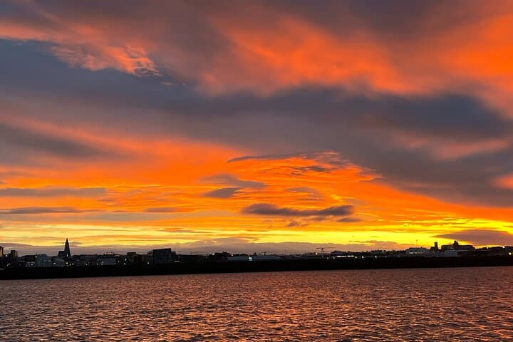 9pm Arctic Sun Whale Watching Cruise in Reykjavik's Faxafloi Bay photo 1