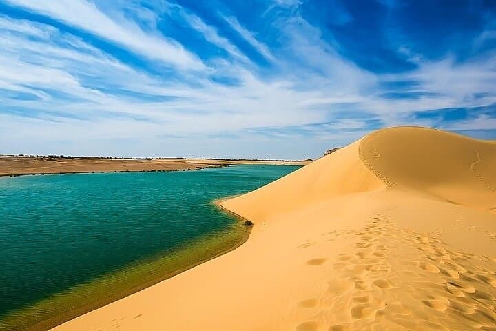 Fayoum Oasis Day Trip: Wadi Al-Hitan, Qarun Lake & Wadi El Rayan Waterfalls photo 2
