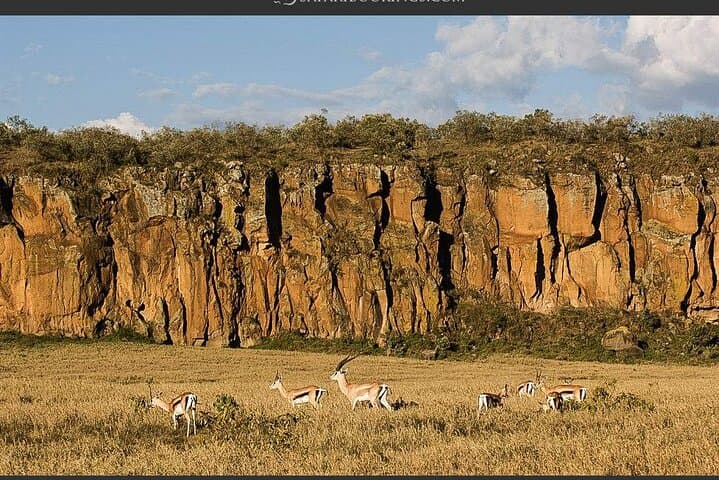 Hell's Gate and Lake Naivasha Day Tour: Biking, Gorges & Boat Safari from Nairobi photo 6