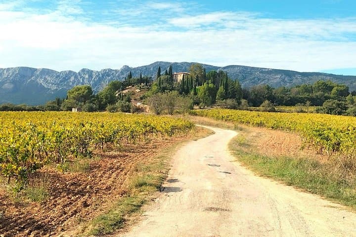 Slow Provençal Day: Sainte-Victoire Vines, Hilltop Villages & Saint-Maximin photo 1