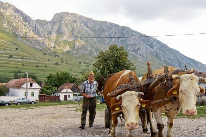 Two-Day Carpathian Hiking Adventure: Rimetea, Borzesi Gorge & Sleeping Giant photo 4
