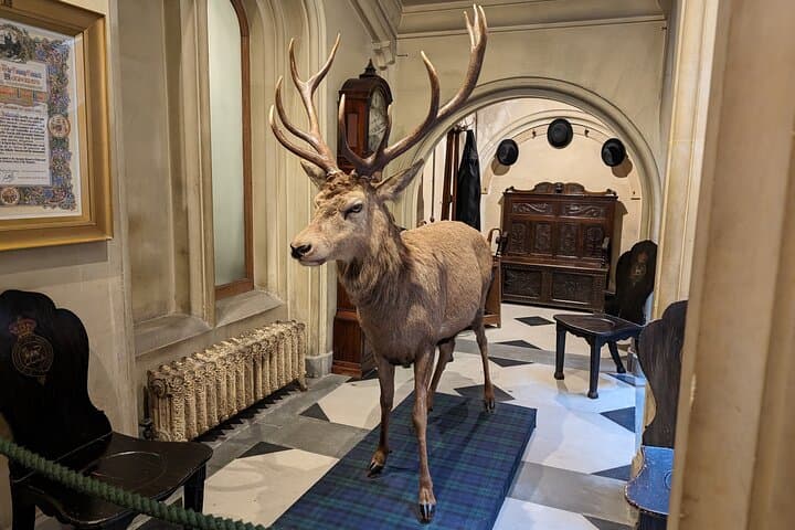 Private Dunrobin Castle Tour from Inverness — Falconry, Gardens & Whisky Tasting photo 5