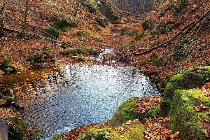 Two-Day Carpathian Hiking Adventure: Rimetea, Borzesi Gorge & Sleeping Giant photo 3