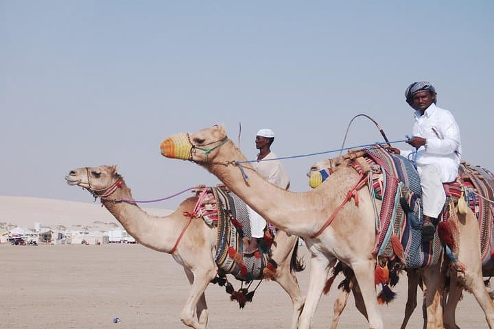 Doha Desert Safari & Khor Al Adaid Inland Sea: Dune Bashing, Camels & Coastal Desert Views photo 4