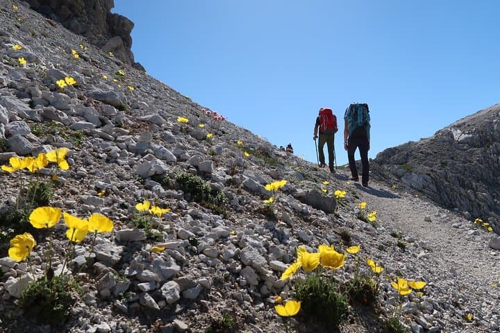 Private Guided Hike in Dolomiti Bellunesi National Park — Wild Trails Near Belluno photo 3