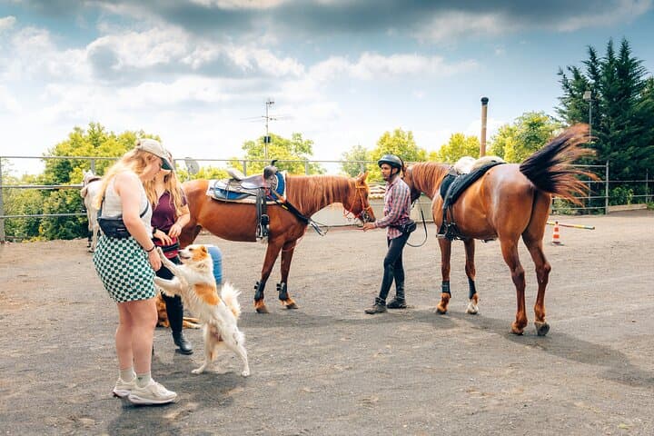 Horseback Riding and Organic Wine Tasting on Mount Vesuvius