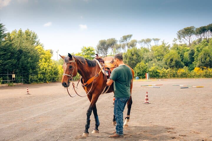 Horseback Riding and Organic Wine Tasting on Mount Vesuvius photo 6