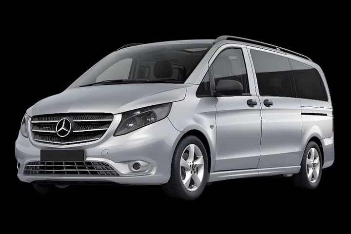 Private transfer from Naples to Sorrento with 2-hour Pompeii tour photo 4