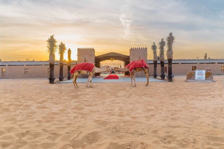 Private Dubai Full-Day: City Highlights and Desert Safari with BBQ Dinner photo 4