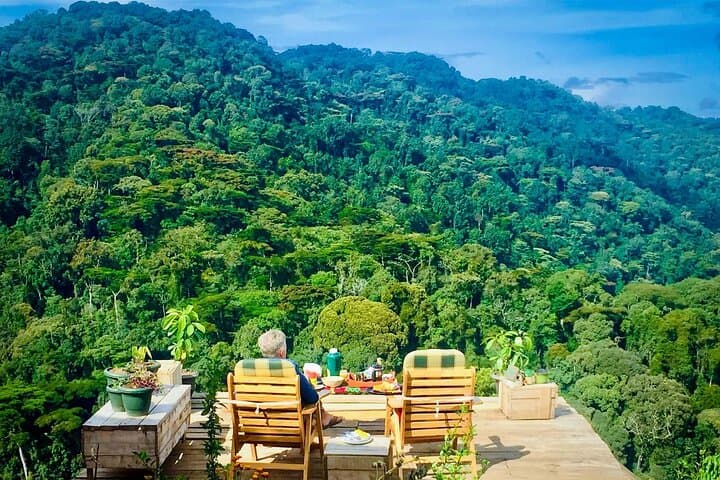 4-Day Uganda Gorilla Trekking Safari: Queen Elizabeth & Bwindi Highlights