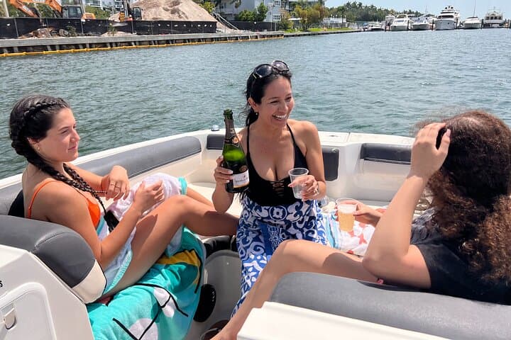 Private Miami Boat Tour: Snorkeling Biscayne Bay, Star Island Views & Dolphin Spotting photo 4