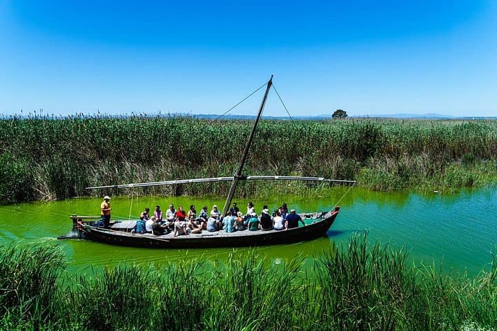 Albufera Private Day Tour: Paella, Birding Boat Cruise, and Nature Walk photo 4
