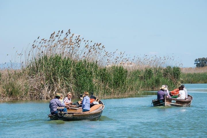 Albufera Private Day Tour: Paella, Birding Boat Cruise, and Nature Walk photo 1