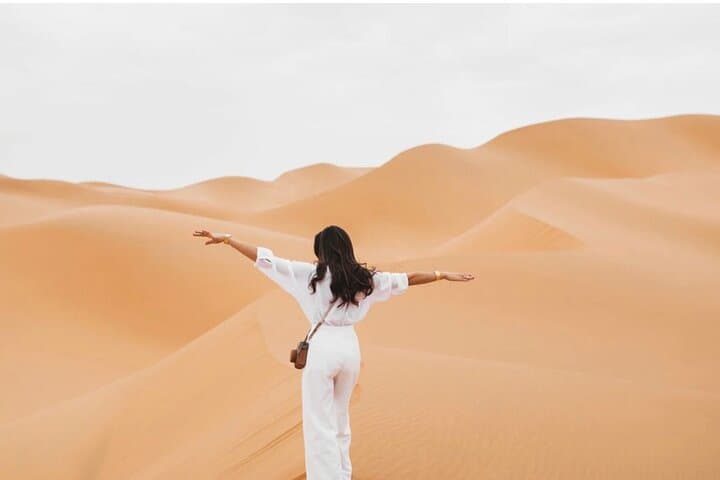 Red Dunes & Dune Bashing: 4-Hour Lahbab Desert Safari from Dubai