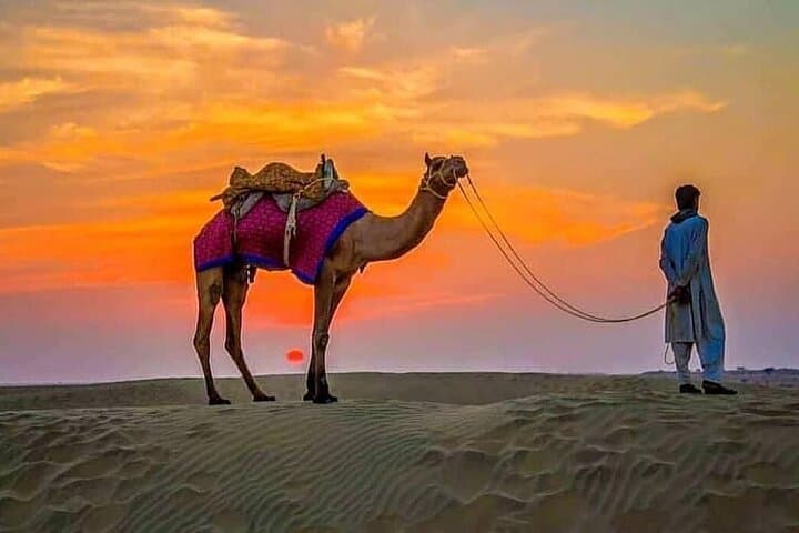 Red Dunes & Dune Bashing: 4-Hour Lahbab Desert Safari from Dubai photo 3