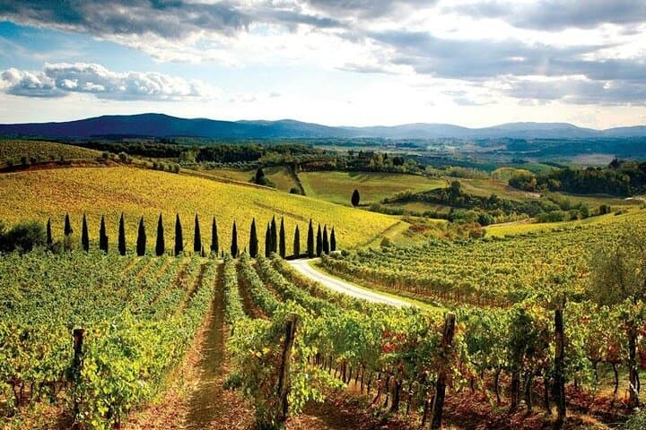 Chianti Vespa Tour: Scooter Through Tuscan Vineyards & Winery Tasting photo 6