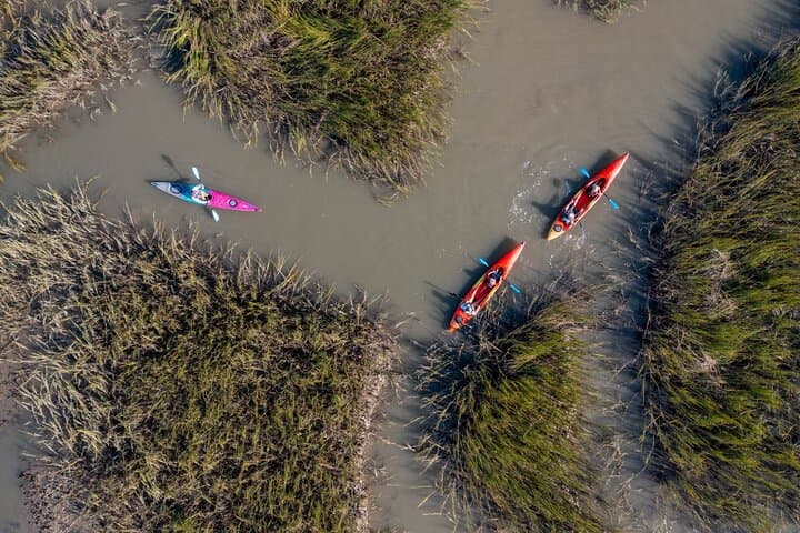 Folly Beach Dolphin Kayak Tour: Guided 2-Hour Paddle & Wildlife Safari
