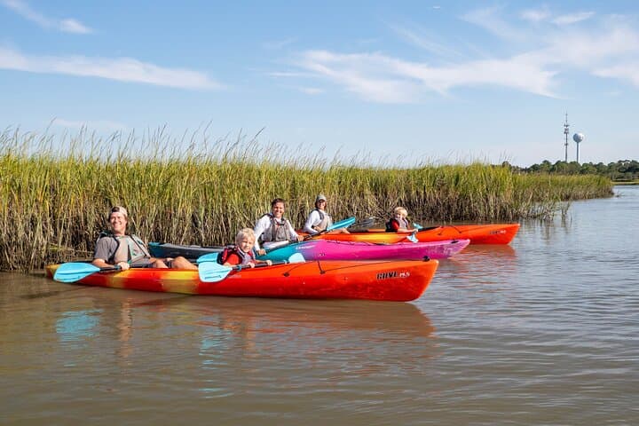 Folly Beach Dolphin Kayak Tour: Guided 2-Hour Paddle & Wildlife Safari photo 2