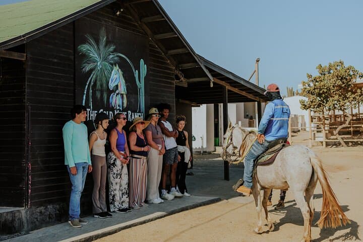 Aruba North Coast Horseback Riding: 90-Minute Coastal Canter Past Bushiribana photo 2