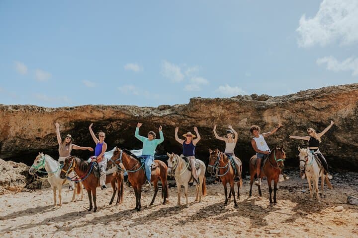 Aruba North Coast Horseback Riding: 90-Minute Coastal Canter Past Bushiribana photo 3