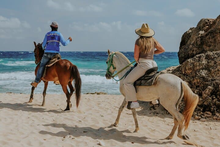 Aruba North Coast Horseback Riding: 90-Minute Coastal Canter Past Bushiribana photo 1
