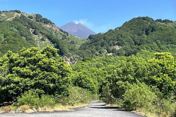 Palermo to Mount Etna & Taormina: Private Full-Day Volcano and Coast Tour photo 2
