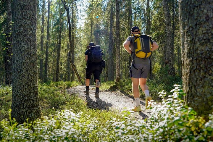 Overnight Bear-Watching & Oulanka Hike from Rovaniemi photo 5