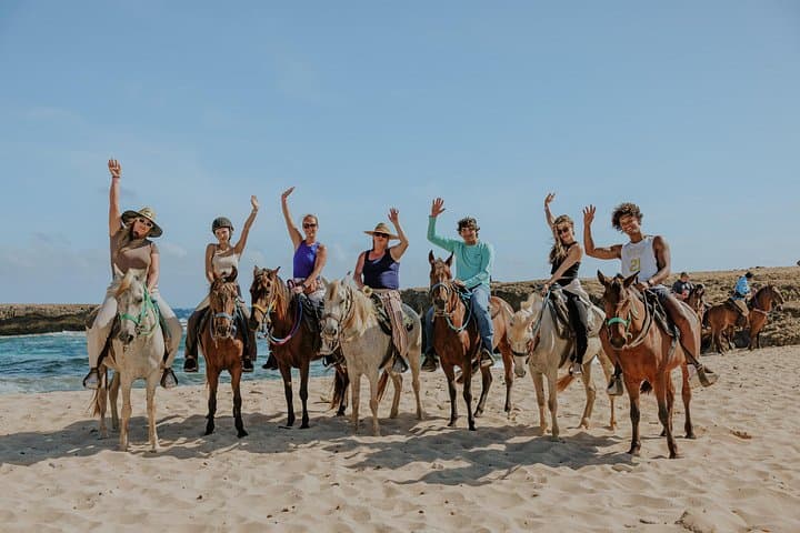 Aruba Northern Coast Horseback Riding: 90-Min Beach & Ruins Tour photo 2
