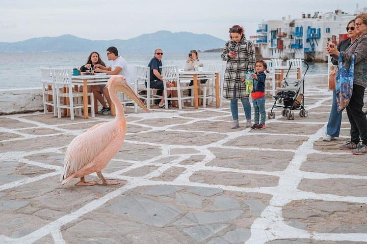 Capture Mykonos: Private 2-Hour Photo Walking Tour of Chora photo 3