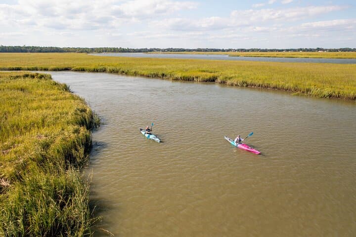 Folly Beach Dolphin Kayak Tour: Guided 2-Hour Paddle & Wildlife Safari photo 5